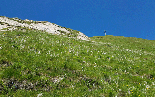 Biotopes d’importance nationale