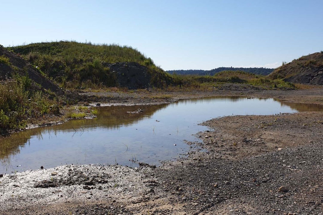 Amphibienlaichgebiete