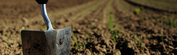 Abandon de la tourbe 