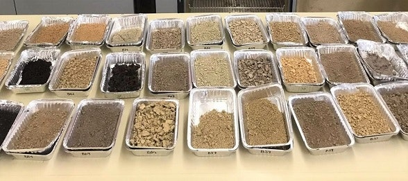 Bodenproben
