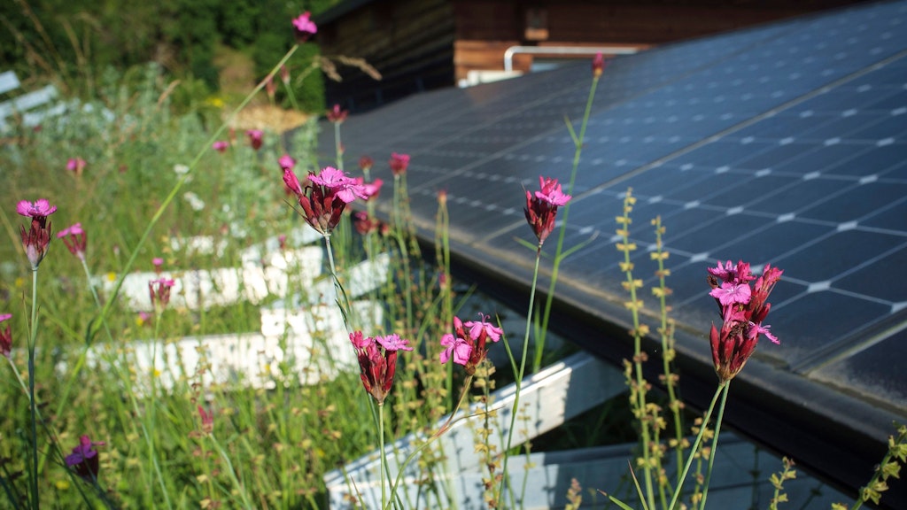 Förderungen für mehr Klimaschutz