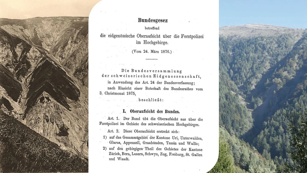 Titelseite Forstpolizeigesetz 1876