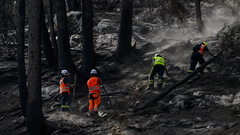 Feuerwehrleute löschen das Feuer des Waldbrandes oberhalb von Bitsch im Oberwallis. Von Waldbränden betroffene Hänge bleiben bei Starkniederschlagsereignissen über mehrere Jahre anfällig auf Bodenerosion und Murgänge. Solche Kombinationen von Gefahren können die Auswirkungen eines Ereignisses verstärken.