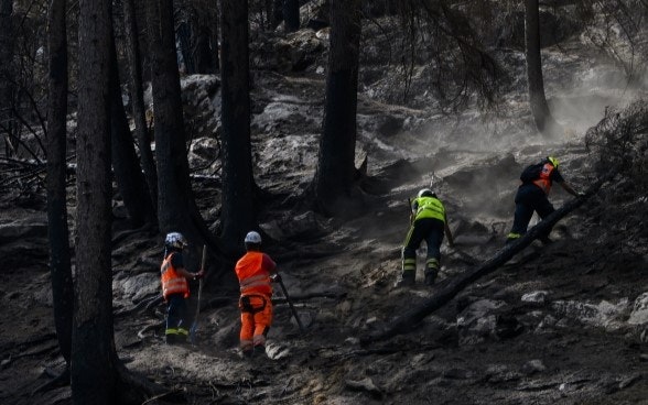 Feuerwehrleute löschen das Feuer des Waldbrandes oberhalb von Bitsch im Oberwallis. Von Waldbränden betroffene Hänge bleiben bei Starkniederschlagsereignissen über mehrere Jahre anfällig auf Bodenerosion und Murgänge. Solche Kombinationen von Gefahren können die Auswirkungen eines Ereignisses verstärken