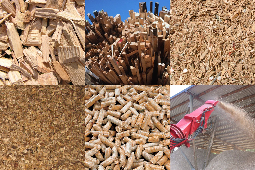 holzenergie