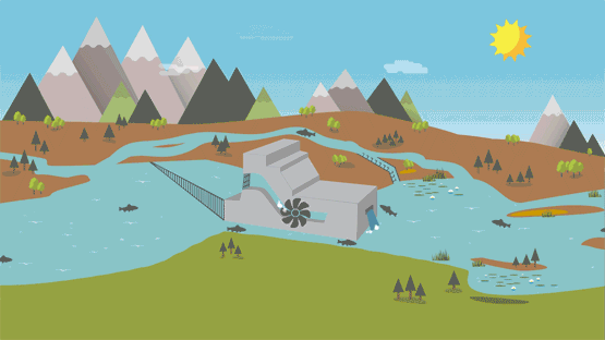 Fischwanderung, aufstieg