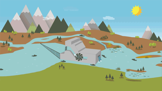 Fischwanderung, austieg