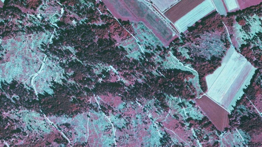 Image symbolique Protection des forêts Vue aérienne Dégâts causés par la tempête Greifensee