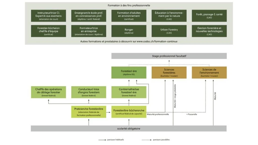 Les métiers de la forêt en un coup d’œil