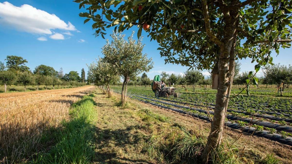 Zone agroforestière près de Sursee