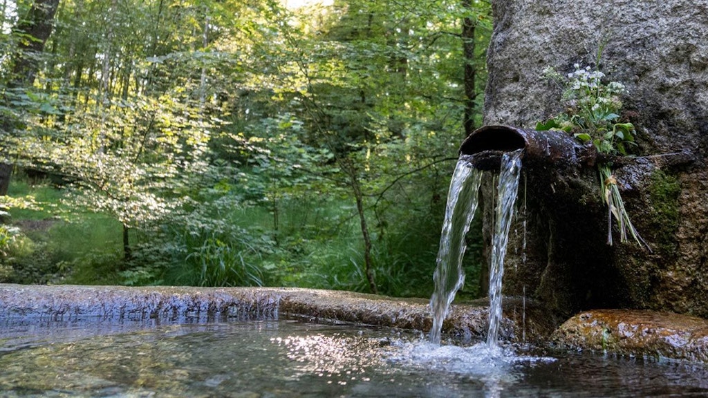 Fontana di acqua potabile nel bosco