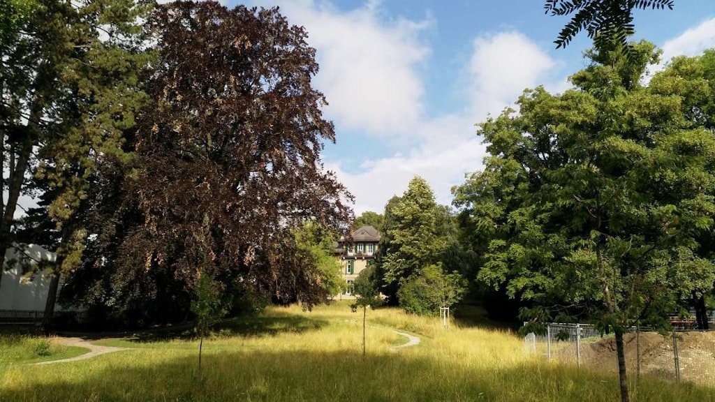 Silvicoltura urbana Berna Monbijourpark